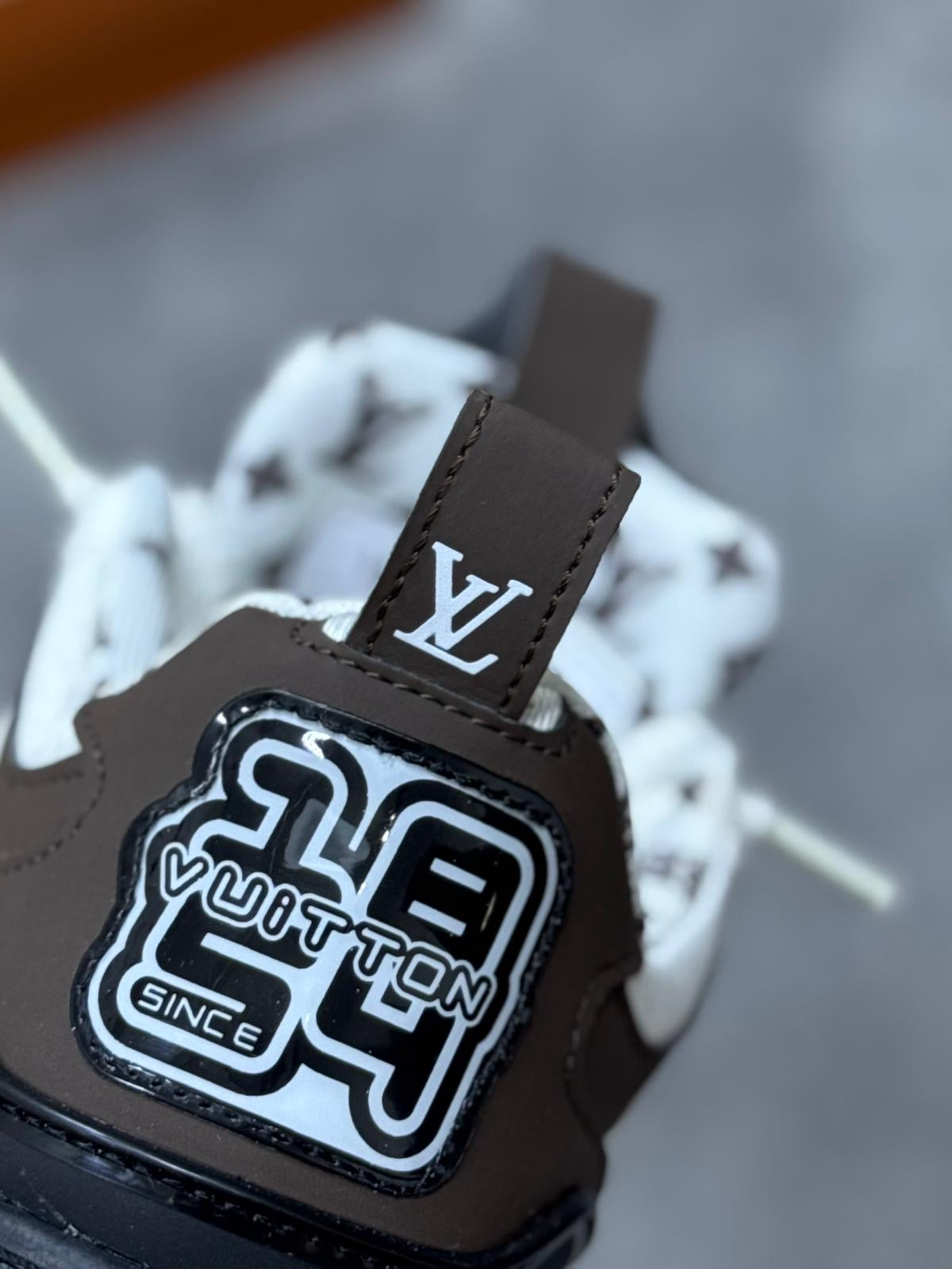 Louis Vuitton skate LV