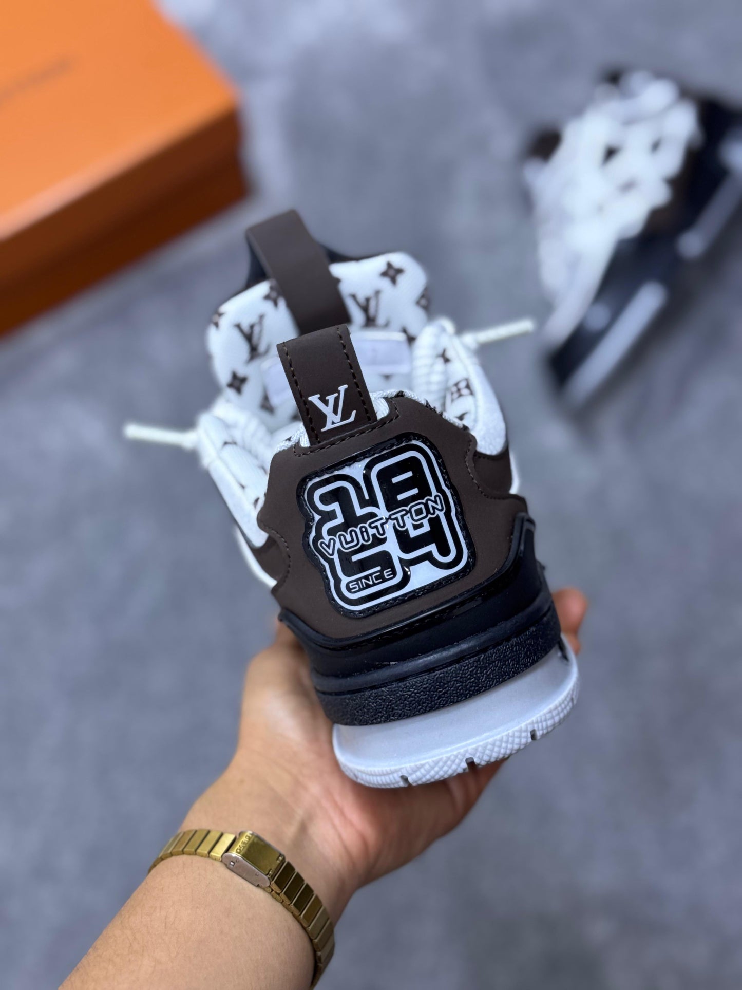 Louis Vuitton skate LV