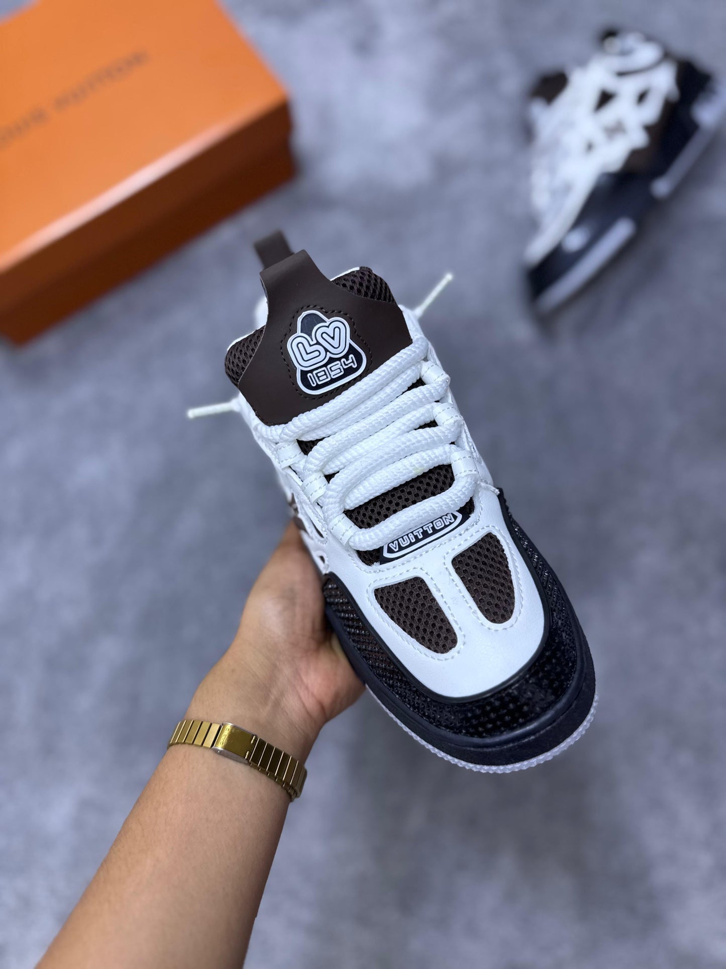 Louis Vuitton skate LV