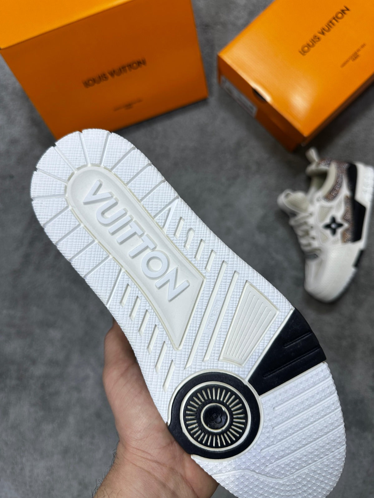 Louis Vuitton skate