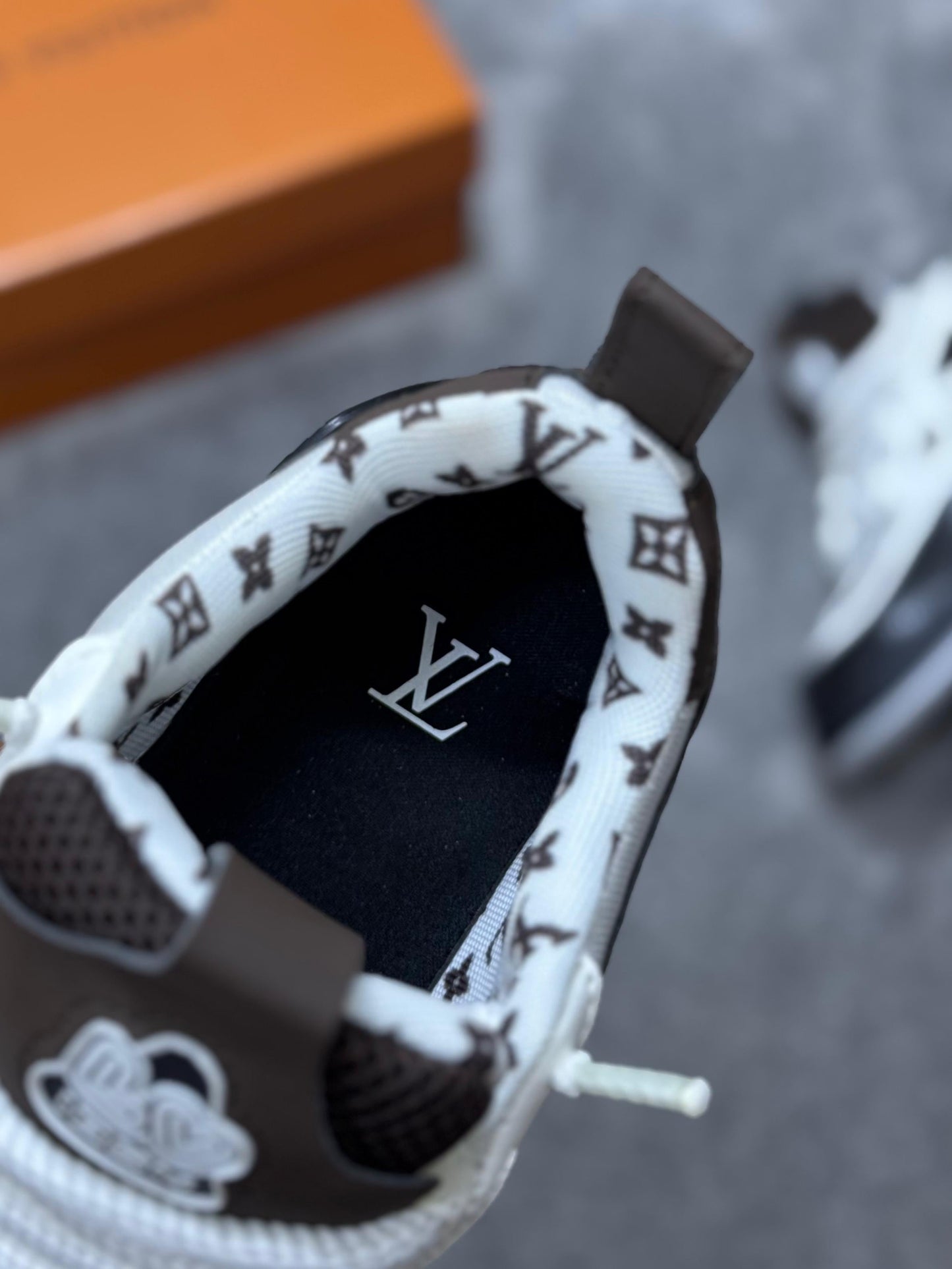 Louis Vuitton skate LV