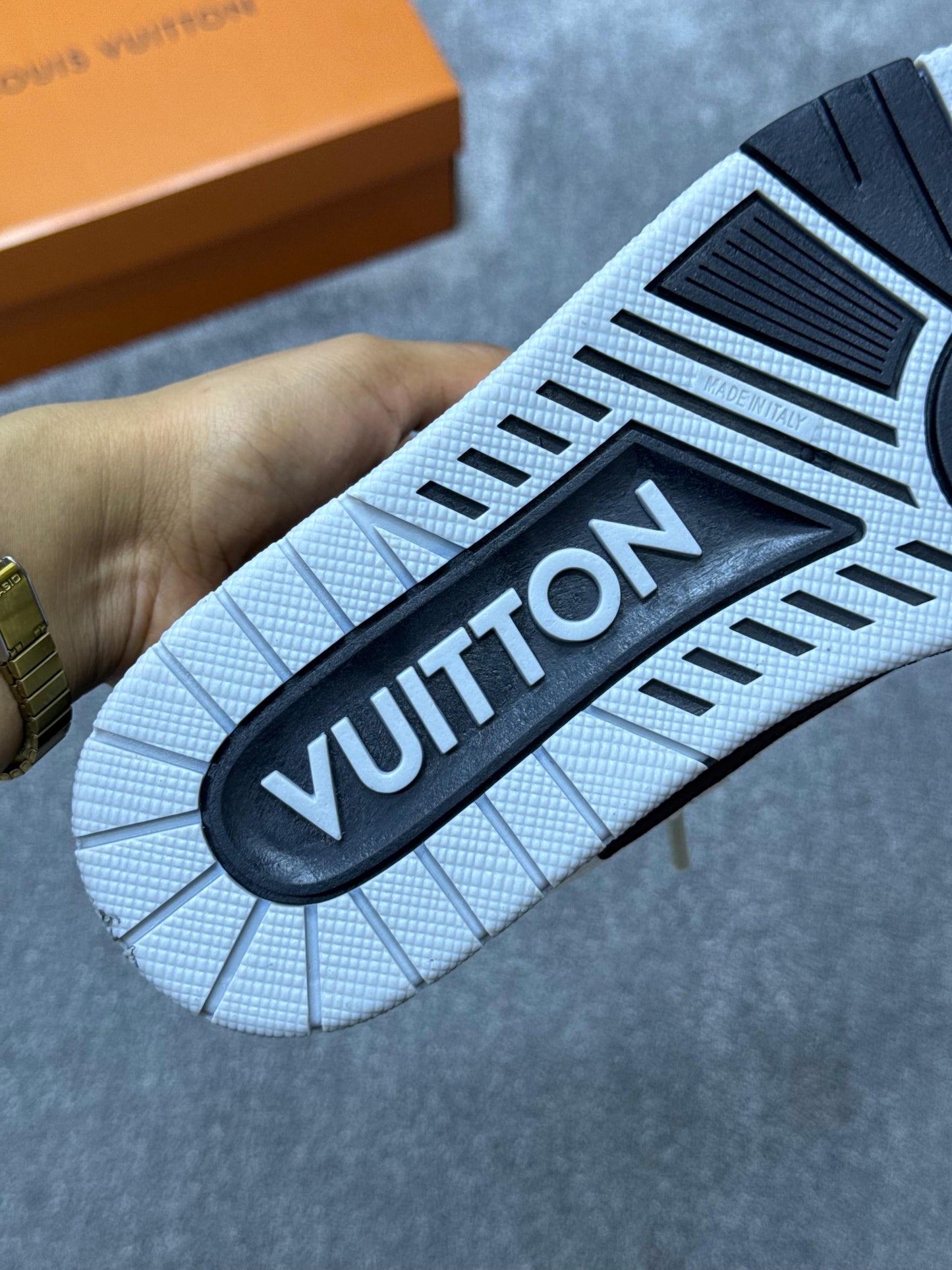 Louis Vuitton skate LV